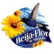 Beija-Flor de Nilópolis